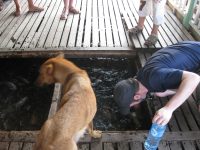 Michael trying to catch a koi bare-handed.