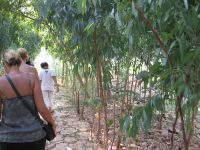 Walking to a village on the Mekong.