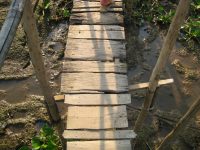 Walking to a village on the Mekong.