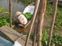 Life on the Mekong.