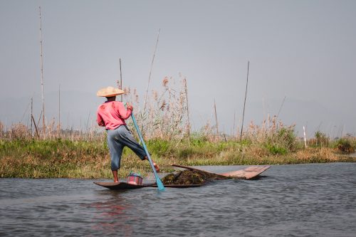 Traditional one-legged rowing technique on Inle Lake, Myanmar.