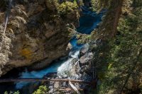 Views from the Johnston Canyon hike.