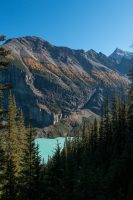 Check out that turquoise color of Lake Louise down below.