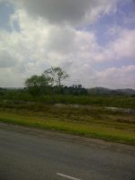 Cuban countryside