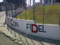 Support for Fidel