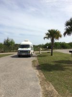 Camper Dan likes the palm tree.