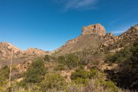 View from Chisos Basin campsite.