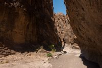 Closed Canyon in Big Bend Ranch State Park.