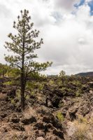 A'a Trail in Sunset Crater Volcano National Monument.