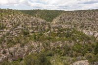 View from Rim Trail.