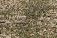 View from Rim Trail.