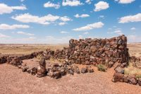 Petrified wood pueblo.