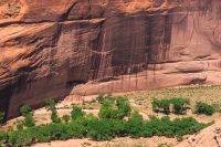 Can you spot the cliff dwellings?