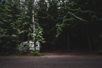 Fish Creek campground, Glacier National Park, Montana, United States