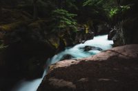 Avalanche Lake hike, Glacier National Park, Montana, United States.