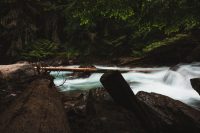 Avalanche Lake hike, Glacier National Park, Montana, United States.