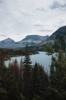 Wild Goose Island in the distant. Glacier National Park, Montana, United States.