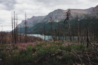 Saint Mary Falls / Virginia Falls hike. Glacier National Park, Montana, United States.