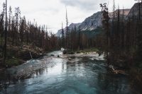 Saint Mary Falls / Virginia Falls hike. Glacier National Park, Montana, United States.