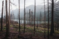 Saint Mary Falls / Virginia Falls hike. Glacier National Park, Montana, United States.