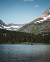 Moose! Redrock Falls hike, Glacier National Park, Montana, United States.