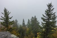 View from the Elmore Mountain Fire Tower Trail.