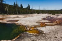 West Thumb Geyser Basin