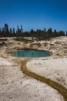 West Thumb Geyser Basin