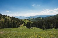 Blacktail Plateau scenic drive