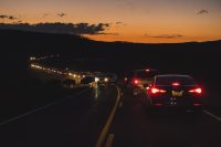 Bison traffic jam