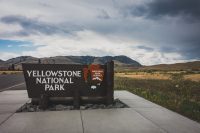 Bye-bye Yellowstone