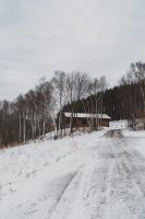 Cabin 5 sits atop a hill in Betty and Wilbur Davis State Park