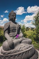 The Garden of One Thousand Buddhas