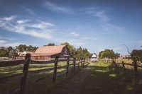 The private approach to the pastures with the barn and family home in the background.