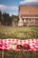 A perfect spot for a picnic.