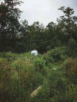 Camper Dan peeking out from the brush.