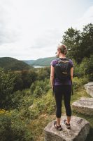 A viewpoint at Lyman Run State Park.