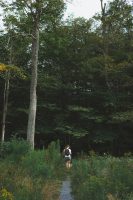 We hiked a short path at Cherry Springs State park near the Astronomy field.