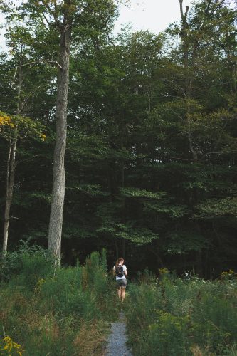 We hiked a short path at Cherry Springs State park near the Astronomy field.