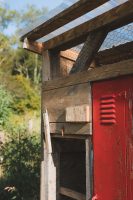 Collect fresh laid eggs for breakfast from the unique antique locker hen house.