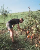 Browse fresh produce in the gardens and green house.