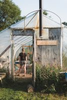 Browse fresh produce in the gardens and green house.