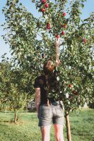 Browse fresh produce in the gardens and green house.