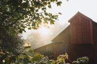 Daybreak on Stony Creek Farmstead is magical.