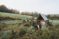 Daybreak on Stony Creek Farmstead is magical.