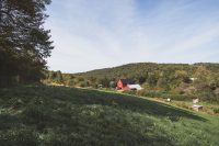 Soak up these views on Stony Creek Farmstead.