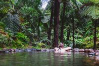 One of the two hot springs at Caldiera Velha, a small natural park is pictured here.