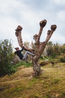 The world is a giant playground. The tree at this miradouro reminds me of a Joshua Tree.