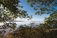 Recompence Shore Campground at Wolfe's Neck Farm has oceanfront campsites as well as wooded sites.