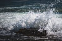 The waves in Casco Bay and the Atlantic Ocean are mesmerizing.